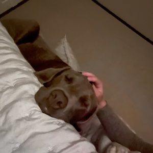 Meet your Posher, Ella